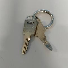 Nycklar, rapporterat av St. Antonius Ziekenhuis Utrecht med iLost