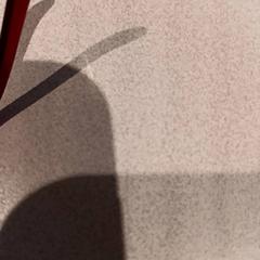 النظارات، كما تم الإبلاغ عنه بواسطة De Efteling عبر iLost