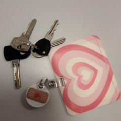 Sleutelbos Sleutelbosje en slimme sleutel, a été signalé par Arriva West-Brabant utilisant iLost