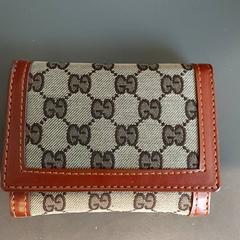 Zorroa Paulino, gisa salatu by Regio Limburg - Leuven iLost erabiliz