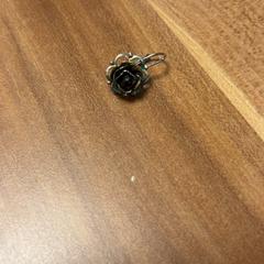 Kolczyk Roos, zgłoszono przez Pathé Buitenhof przy użyciu iLost