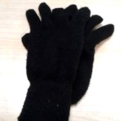 Gloves, as reported by Qbuzz Fryslân using iLost