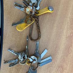 Chaves, como reportado por Gemeente Zutphen utilizando o iLost