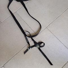 Riemen voor een fietsendrager, as reported to iLost