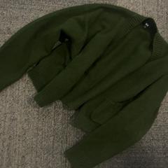 Vesta Groen, jak nahlášeno Jaarbeurs pomocí iLost