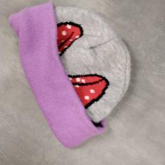 Muts Paart/grijs, zoals gemeld door Arriva Friesland / Groningen met iLost