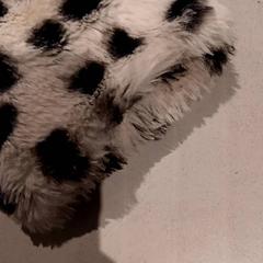 Dzseki, amint azt De Efteling az iLost segítségével jelentette.