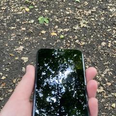 iPhone, iLost에 보고됨