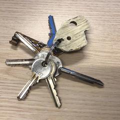 Nøkkelring, som rapportert av Gemeente Arnhem ved bruk av iLost