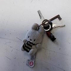 Keys, as reported by Hermes Eindhoven using iLost