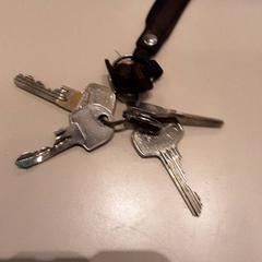 سلسلة المفاتيح، كما تم الإبلاغ عنه بواسطة LUMC عبر iLost