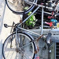 Pánsky bicykel Rivel, ako bolo nahlásené Stadswerk072 pomocou iLost