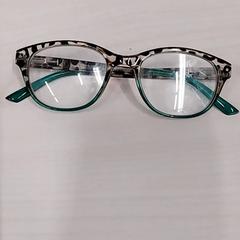 Brýle Groen. Tijger motief, jak nahlášeno Arriva Limburg Zuid pomocí iLost