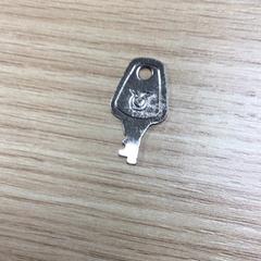 المفاتيح (متنوعة)، كما تم الإبلاغ عنه بواسطة Diakonessenhuis Zeist عبر iLost