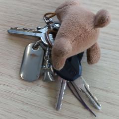 Gakoa, gisa salatu by Arriva West-Brabant iLost erabiliz