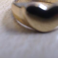 Anel goudkleurig, como reportado por Walibi Holland utilizando o iLost