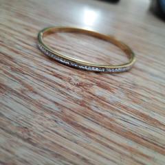 Náramek, jak nahlášeno Gemeente Zeist pomocí iLost