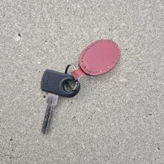 Axa sleutel met rode sleutelhanger, gerapporteerd met iLost