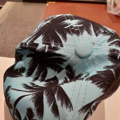 Casquette bleue, a été signalé par TCL utilisant iLost