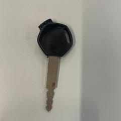 Clé, a été signalé par Heidelberglaan 15 utilisant iLost