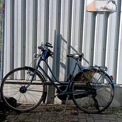 Bicicleta onbekend Viool groen, ha sido reportado por Fietsdepot Hasselt con iLost