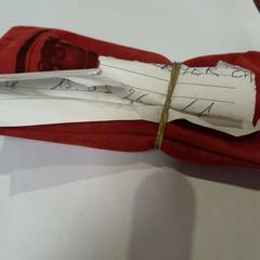 Glasses case with glasses rouge, as reported by TCL using iLost