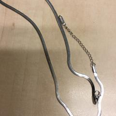 İLost kullanarak Haaglanden Medisch Centrum tarafından bildirildiği gibi Kolye