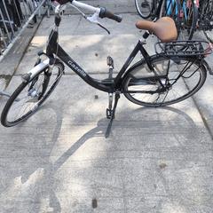 Gazelle, segons ha informat Stadswerk072 mitjançant iLost