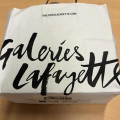 Bag, as reported by RET using iLost