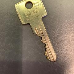 Schlüssel, gemeldet von Eindhoven Airport über iLost