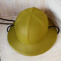 Kapelusz Groen, zgłoszono przez DierenPark Amersfoort przy użyciu iLost