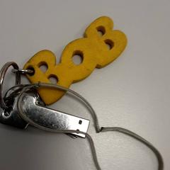 Sleutelbos Metaal, zoals gemeld door Arriva West-Brabant met iLost