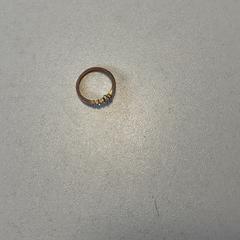 반지, iLost를 사용하여 Breng Arnhem에 보고됨