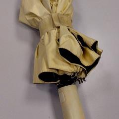 Umbrella para, as reported by Vrije Universiteit Amsterdam using iLost