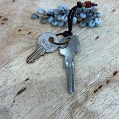 Klíče, jak nahlášeno Gemeente Wageningen pomocí iLost