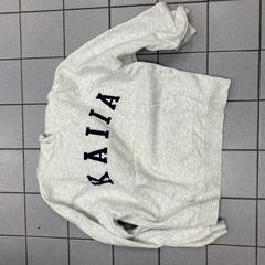 Felpa Grey, come riportato da Ramada by Wyndham Amsterdam Airport Schiphol utilizzando iLost