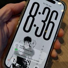 Iphone, gerapporteerd met iLost