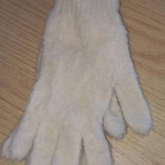 Gloves, as reported by Arriva West-Brabant using iLost