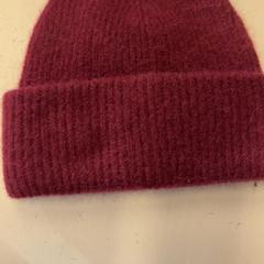 Beanie, gemeldet von GVB über iLost