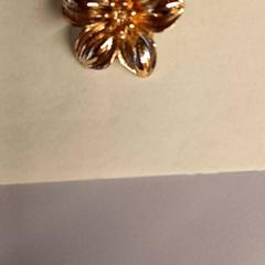 Pendente Goudkleurig, segundo informou Heidelberglaan 7 usando iLost