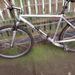 Vélo Cannondale mountainbike grijs, a été signalé par Fietsdepot Meierijstad utilisant iLost