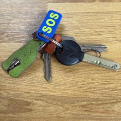 House & Bike keys, come riportato a iLost