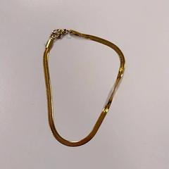 팔찌 Goud, iLost를 사용하여 Vrije Universiteit Amsterdam에 보고됨