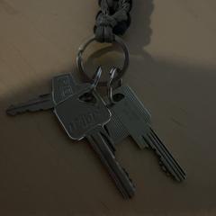 سلسلة المفاتيح، كما تم الإبلاغ عنه بواسطة Jaarbeurs عبر iLost