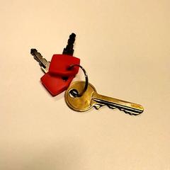 Kulcsok, amint azt Gemeente Puurs-Sint-Amands az iLost segítségével jelentette.