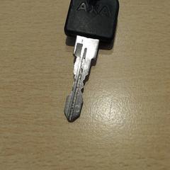 İLost kullanarak Walibi Holland tarafından bildirildiği gibi Bisiklet anahtarı