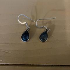 イヤリング がiLostで Familie Resort Molenwaard によって報告されました