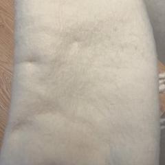 Szal, zgłoszono przez Van der Valk Hotel Eindhoven - Best przy użyciu iLost