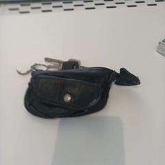 Estuche para llaves con llaves, ha sido reportado por Arriva Limburg Zuid con iLost