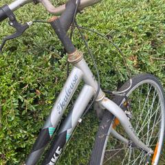 Bike damesfiets grijs/wit, as reported by Gemeente Zonhoven using iLost
